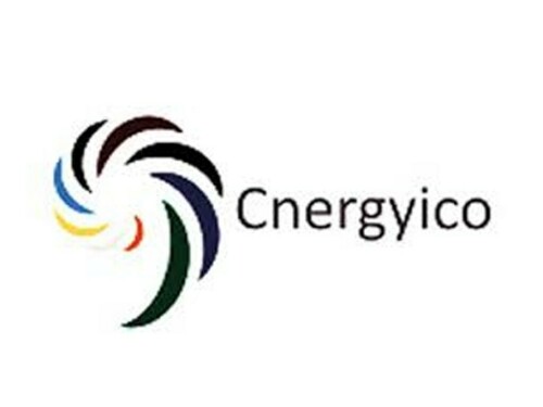 Cnergyico Pakistan Limited