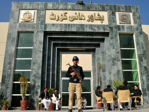 ECP files review petition against PHC decision on PTI's 'bat' symbol