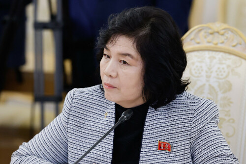 North Korea FM says 'ready to greet' Putin
