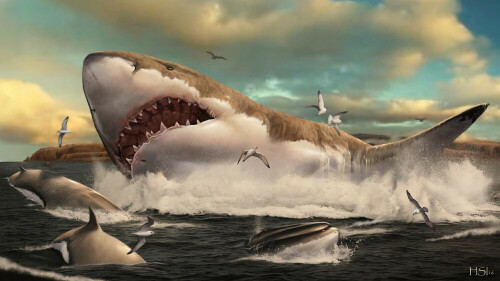 &lsquo;The Meg&rsquo; shark was actually quite thin, scientists say