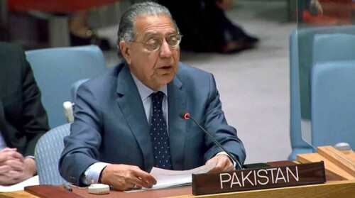 Only two-state solution can end Israeli-Palestinian conflict, Pakistan urges UN