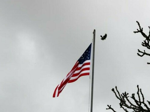 Moderate US economic growth expected in fourth quarter