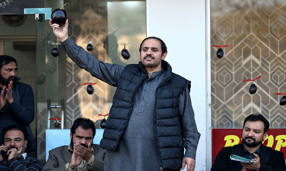 Eggplants, bottles, beds: Pakistan politicians reclaim election symbols