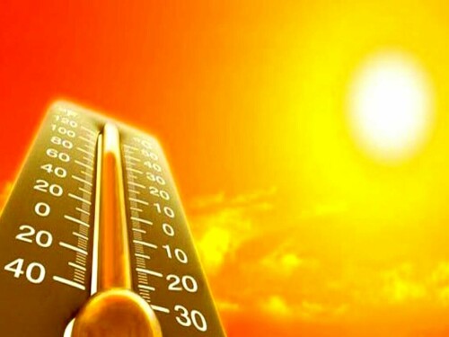 France records over 5,000 deaths due to summer 2023 heat
