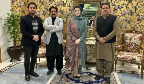 &lsquo;PTI-backed&rsquo; independent candidate from Lahore joins PML-N