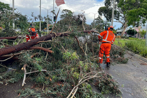 Storms knock out power to 174,000 homes in Australia