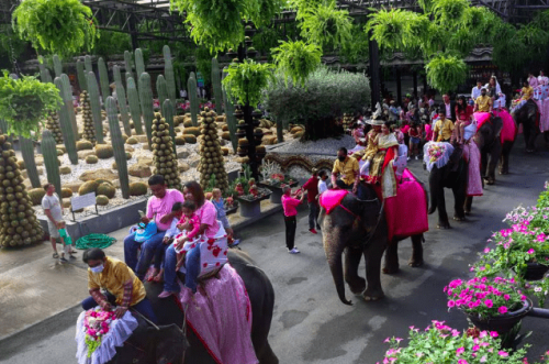 Better than roses: Thai couples marry on elephants for Valentine&rsquo;s Day