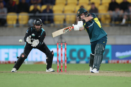 David, Marsh propel Australia to thrilling T20 win over New Zealand