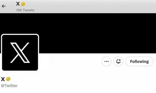 X faces disruption in Pakistan for 5th consecutive day: NetBlocks
