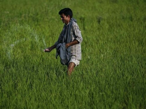 Fertilizer gas pricing: myopic approach to have long-term repercussions
