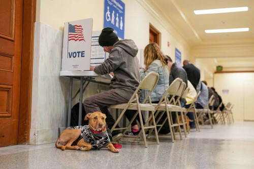 Trump, Biden dominate Super Tuesday contests as they march toward rematch