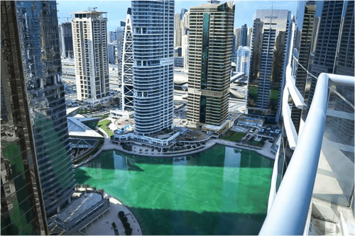 Pakistani firms show 71% growth in joining Dubai Chamber of Commerce Pakistani firms show 71% growth in joining Dubai Chamber of Commerce