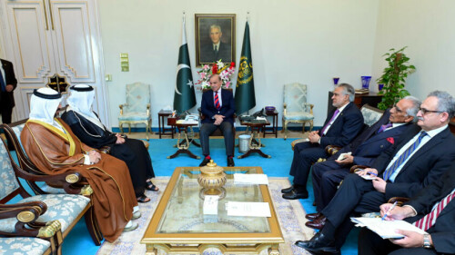 PM Shehbaz stresses enhanced Pak-UAE economic ties