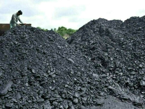 China 2024 coal output seen about 1% higher, industry group says