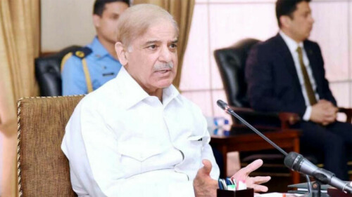PM Shehbaz, cabinet members will not draw salaries