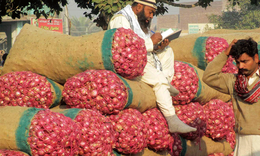 India extends ban on onion exports indefinitely ahead of general election