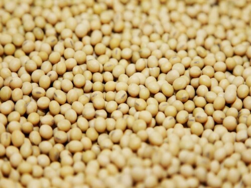 Brazil&rsquo;s 2023/24 soybean harvest hits 74%, says AgRural