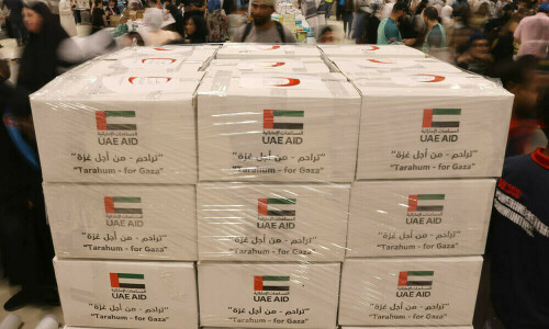 UAE pauses aid to Gaza by sea after Israeli strike kills aid workers