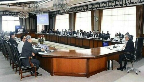 وفاقی کابینہ کی فنانس ڈویژن کو سی جی اے کے ساتھ تعاون کی ہدایت