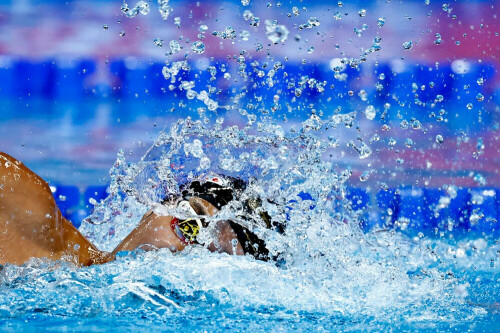 World champion swimmers duel in 400 freestyle in Australia