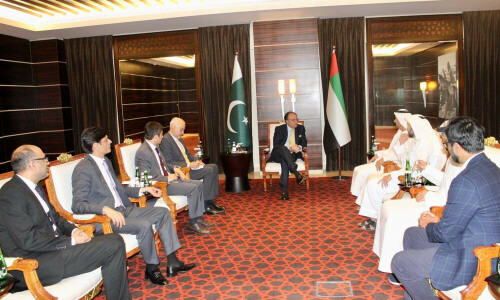 Aurangzeb pitches Pakistan&rsquo;s &lsquo;competitive advantages&rsquo; in meeting with UAE businesses