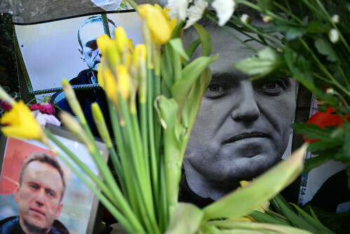US intelligence believes Putin probably didn't order Navalny to be killed: WSJ