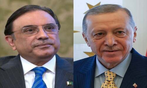 Zardari, Erdogan discuss bilateral ties