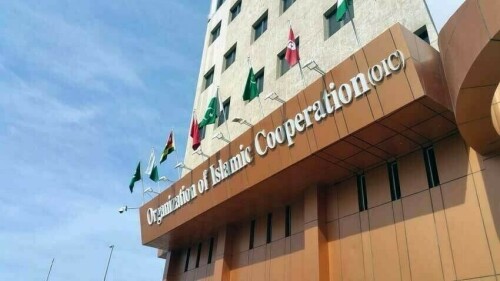 Dar reaches Gambia to attend OIC summit