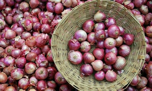 India's government lifts ban on onion exports, sets floor price