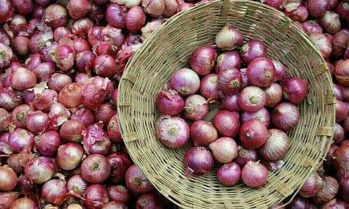 مودی سرکار نے پیاز کی برآمدات پر پابندی ختم کردی