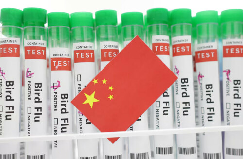China lifts risk alert warning on bird flu in Serbia