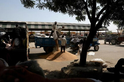 India’s Modi, chasing reform legacy, shifts income goals for struggling farmers India’s Modi, chasing reform legacy, shifts income goals for struggling farmers