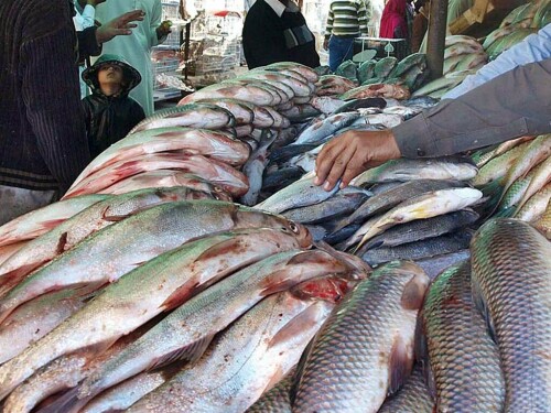 Seafood exports to China reach $247.3m: PCJCCI