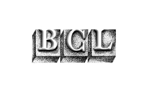 Bolan Castings Limited