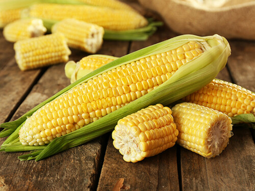Corn climbs as USDA projects US stocks below expectations