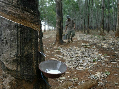 Japan rubber futures rise on weaker yen, weather concerns