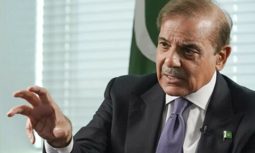 Barring &lsquo;strategic entities&rsquo;, Pakistan to pursue privatisation of all SOEs: PM Shehbaz