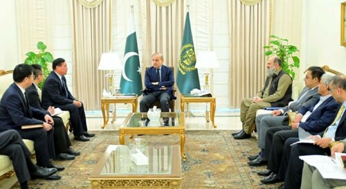 Chinese firm keen to invest in Pakistan&rsquo;s mineral sector, says Islamabad