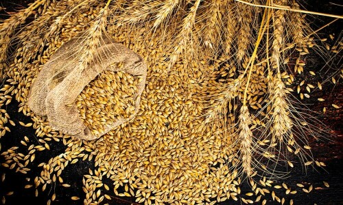 فصلوں کی خریداری میں سرکاری اثر و رسوخ کم کریں