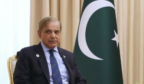 PM Shehbaz lauds Ireland&rsquo;s decision to recognise Palestine as independent state