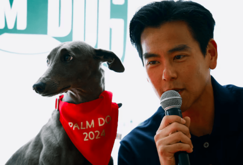 &lsquo;Black Dog&rsquo; wins Un Certain Regard competition at Cannes