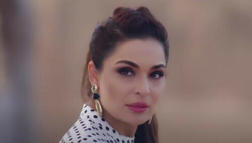 Nueplex Cinemas dropped Pakistani production &lsquo;Agent Anila&rsquo; trailer, but netizens are distraught