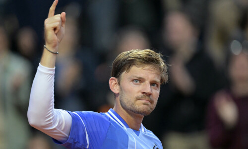 Goffin claims he was spat at by French Open spectator