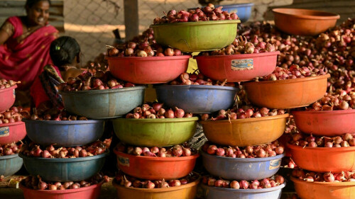 India&rsquo;s onion farmers cry foul at politicians&rsquo; price recipe
