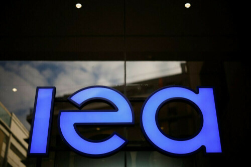 World falling short on 2030 renewables goal: IEA
