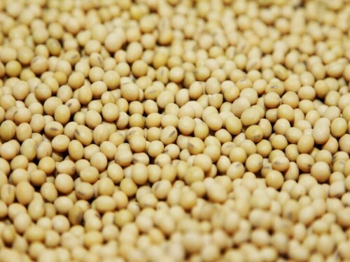 Soybeans firm on Brazilian crop losses, wheat hits 2-week low