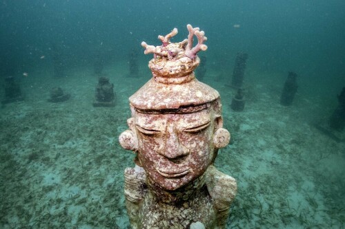 Colombian underwater &lsquo;art gallery&rsquo; serves as coral home