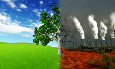 Environment emergency