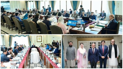 Govt will use resources optimally for economic revival, says PM Shehbaz