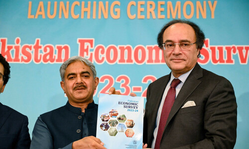 Aurangzeb says some rollovers, return of commercial bank borrowing ways to manage external debt in FY25